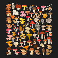 Mushroom Lover Mycology Fungi Foraging Mushroom Whisperer T Shirt Classic T-shirt | Artistshot