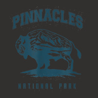 Pinnacles National Park Champion Hoodie | Artistshot