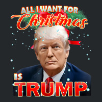 Trump 2024 I Want Trump This Christmas Crewneck Sweatshirt | Artistshot