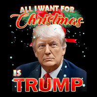 Trump 2024 I Want Trump This Christmas Men's 3/4 Sleeve Pajama Set | Artistshot