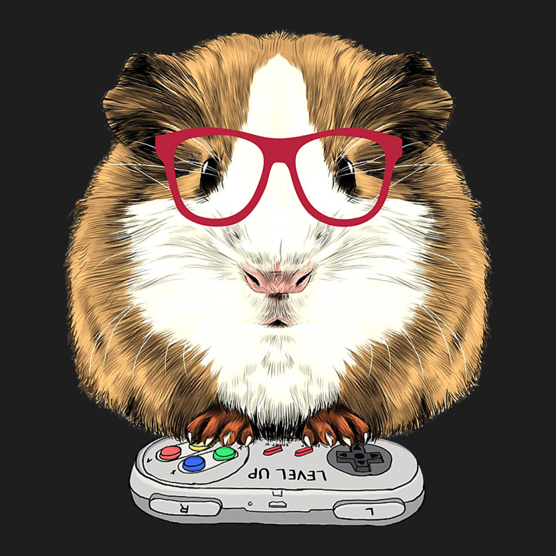 Guinea Pig Video Game Wildlife Animal Gift Guinea Pig Gamers Classic T-shirt | Artistshot