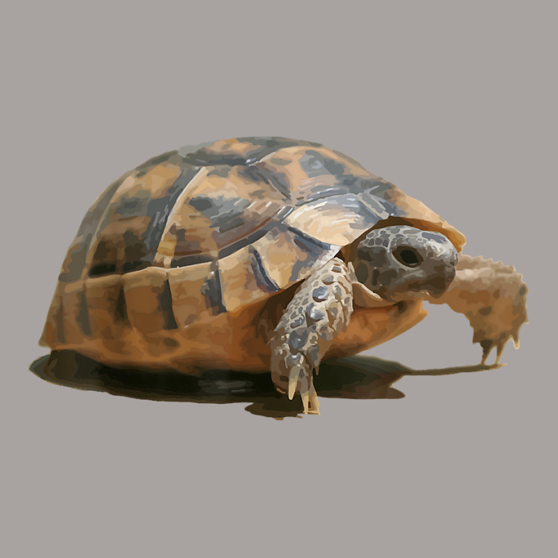 Portrait Of A Young Wild Tortoise Isolated T Shirt Racerback Tank by puetzee | Artistshot