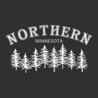 Northern Minnesota Champion Hoodie | Artistshot