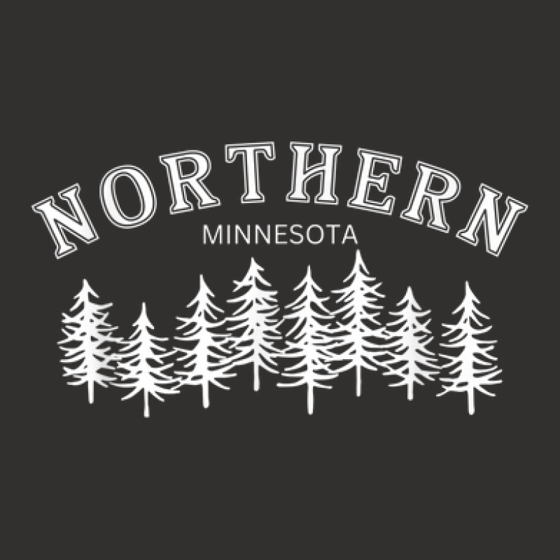 Northern Minnesota Champion Hoodie | Artistshot