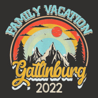 Tennessee Smoky Mountains Family Vacation Gatlinburg 2022 T Shirt Champion Hoodie | Artistshot