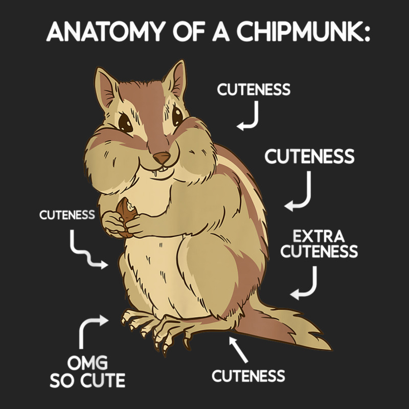 Anatomy Cute Chipmunk 3/4 Sleeve Shirt | Artistshot