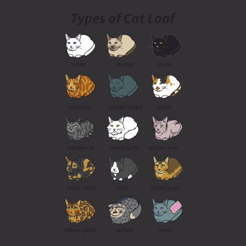 The Types Of Cat Loaf Vintage Hoodie And Short Set by JeanetteNeubauer | Artistshot