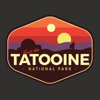 Tatooine National Park Champion Hoodie | Artistshot