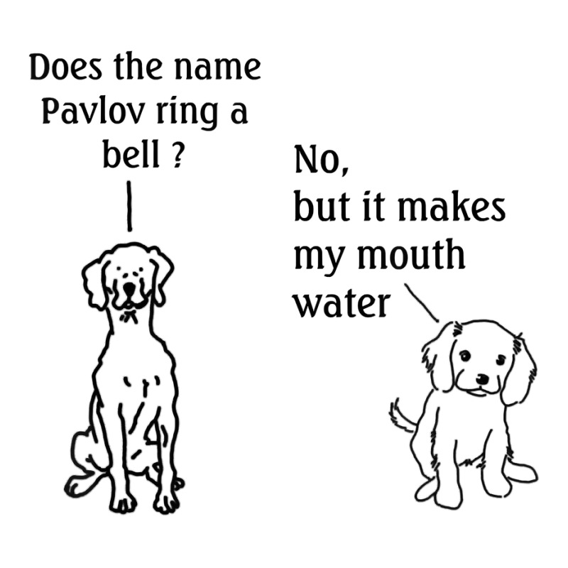 Does The Name Pavlov Ring A Bell T Shirt Unisex Hoodie | Artistshot