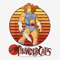 Thundercats Lion O Retro Sunset T Shirt Baby Beanies | Artistshot