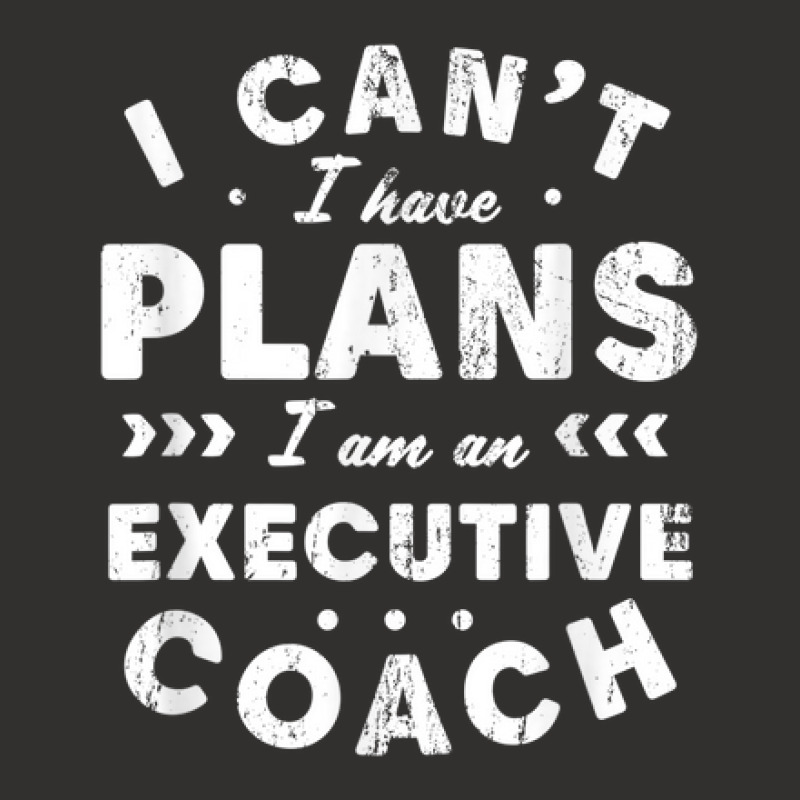 I Can't I Have Plans Executive Coach Funny Leader Humor Champion Hoodie by Sapphire | Artistshot