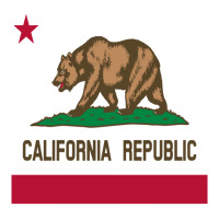 California Republic State Flag 1846 Vintage Hoodie Maternity Scoop Neck T-shirt | Artistshot