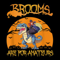 Brooms Are For Amateurs Halloween Witch Riding Dinosaur Toddler Sweatshirt | Artistshot