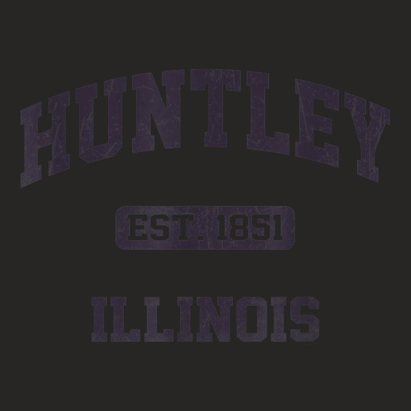 Huntley Illinois Il Vintage State Athletic Style Ladies Fitted T-Shirt by Fashaza | Artistshot