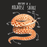 Anatomy Of A Albino Hognose Snake Ladies Fitted T-shirt | Artistshot