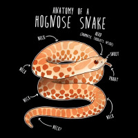 Anatomy Of A Albino Hognose Snake Cropped Hoodie | Artistshot