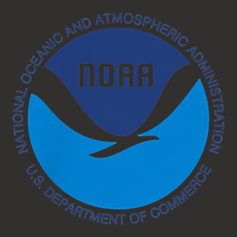 Noaa National Oceanic And Atmospheric Administration T Shirt Champion Hoodie by cm-arts | Artistshot