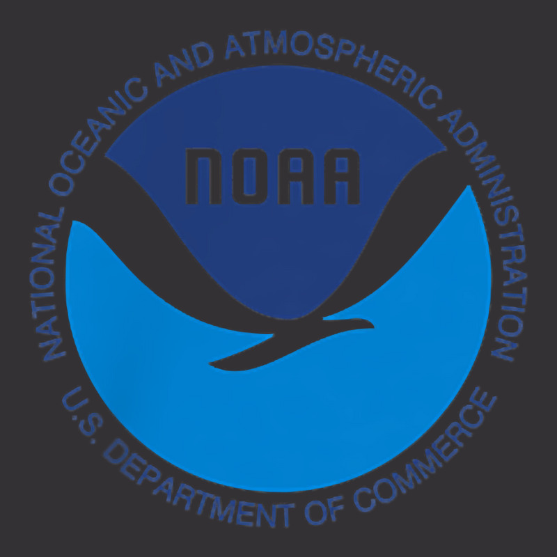 Noaa National Oceanic And Atmospheric Administration T Shirt Vintage Hoodie And Short Set by cm-arts | Artistshot