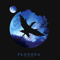 Avatar Pandora Planets Na'vi Flight Fanny Pack | Artistshot