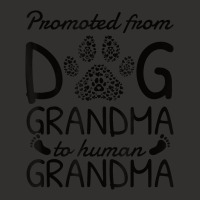 Baby Announcement Promoted From Dog Grandma To Human Grandma Champion Hoodie | Artistshot