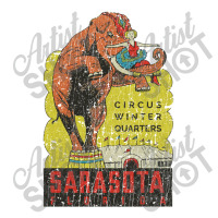 Sarasota Circus Winter Quarters 1927, Circus Youth Sweatshirt | Artistshot