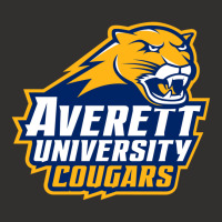 Averett University Cougar Champion Hoodie | Artistshot