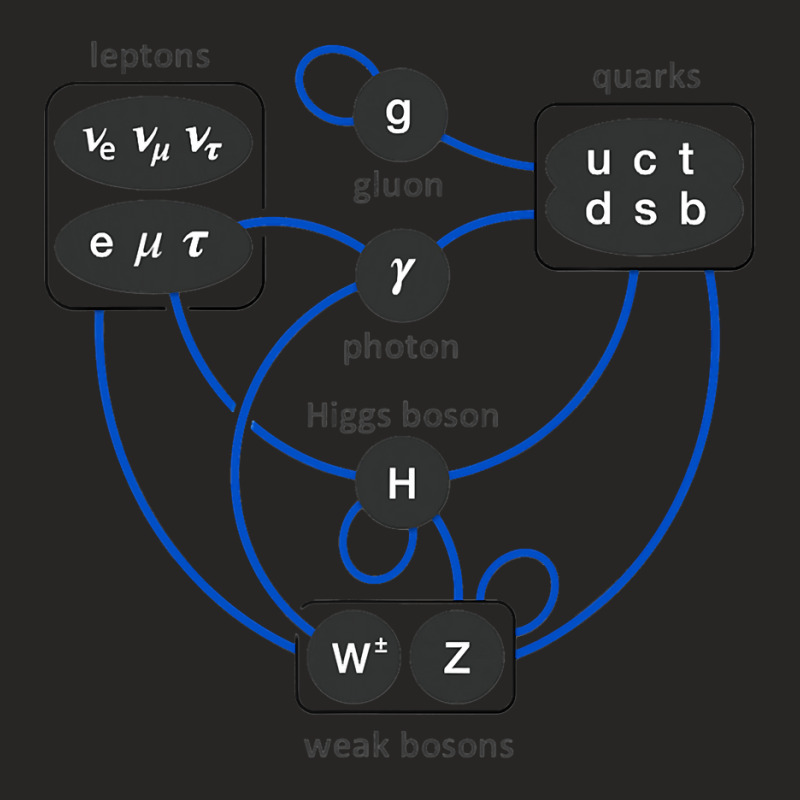 Standard Model Particles Higgs Boson Physics Theory Ladies Fitted T-Shirt by trokeryth | Artistshot