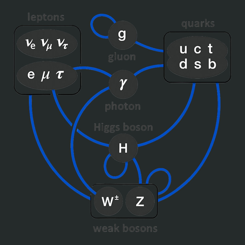 Standard Model Particles Higgs Boson Physics Theory Women's Triblend Scoop T-shirt by trokeryth | Artistshot