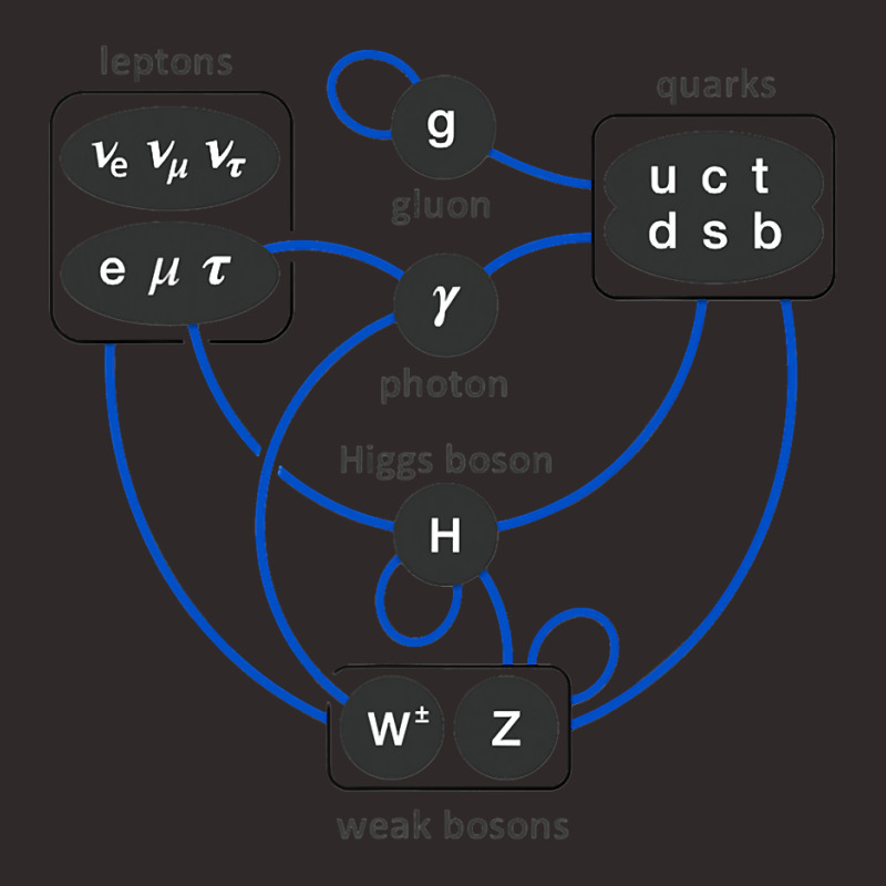 Standard Model Particles Higgs Boson Physics Theory Racerback Tank by trokeryth | Artistshot