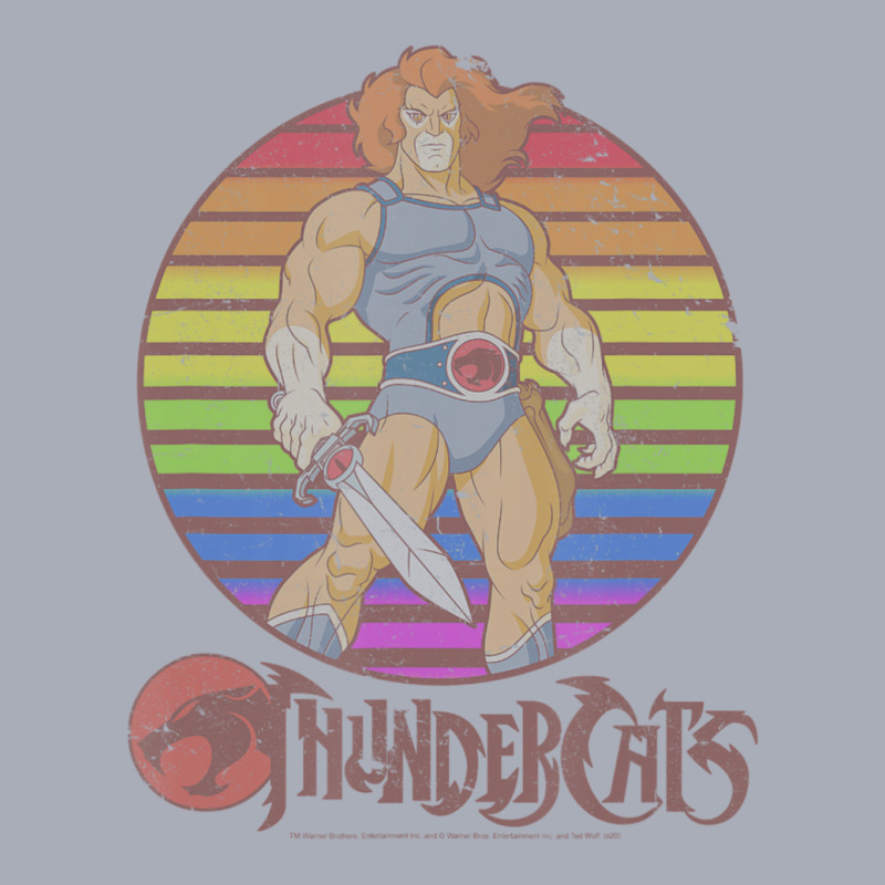 Thundercats Lion-o Rainbow Sunset Poster Tank Dress by Gibbons Washburn | Artistshot