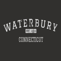 Waterbury Connecticut Ct Vintage Champion Hoodie | Artistshot