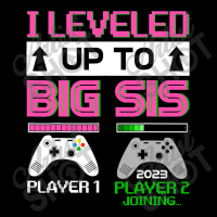 Leveled Up To Big Sister 2023 Cute I'm Going To Be A Big Sis Cropped Hoodie | Artistshot