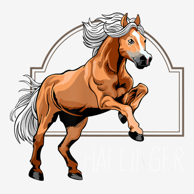 Haflinger Rider Horse Pony Riding T Shirt Classic T-shirt | Artistshot