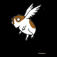 Flying Guinea Pig Pocket T-shirt | Artistshot