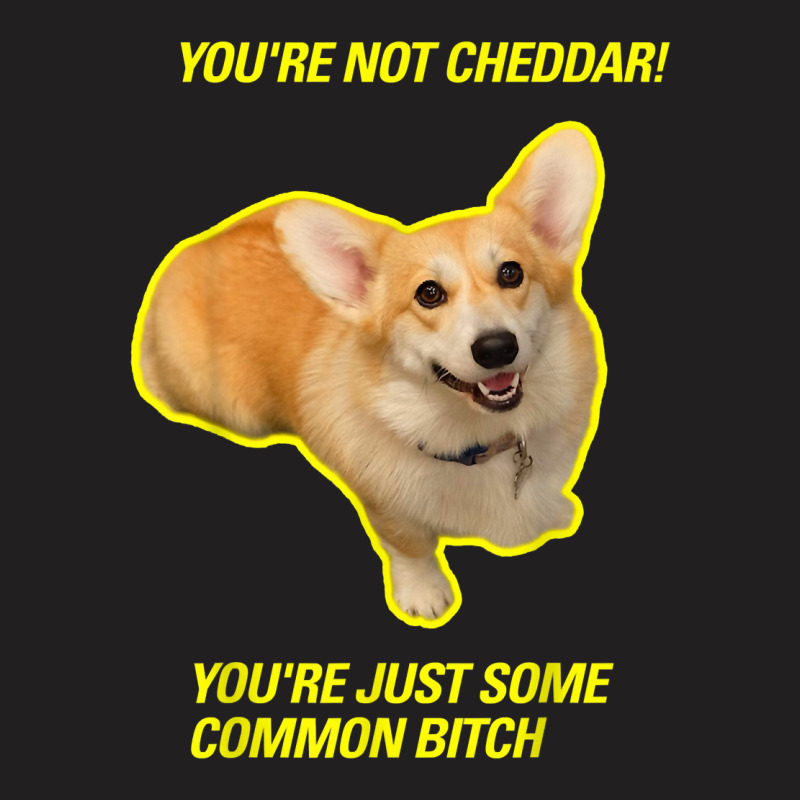 Brooklyn Nine Nine Cheddar T-shirt | Artistshot