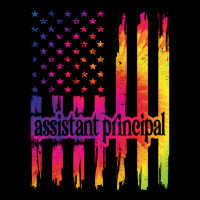 Assistant Principal Us Flag Gifts School Crew Women's V-neck T-shirt | Artistshot