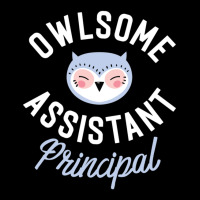 Owlsome Assistant Principal Pun Funny Gift Idea V-neck Tee | Artistshot