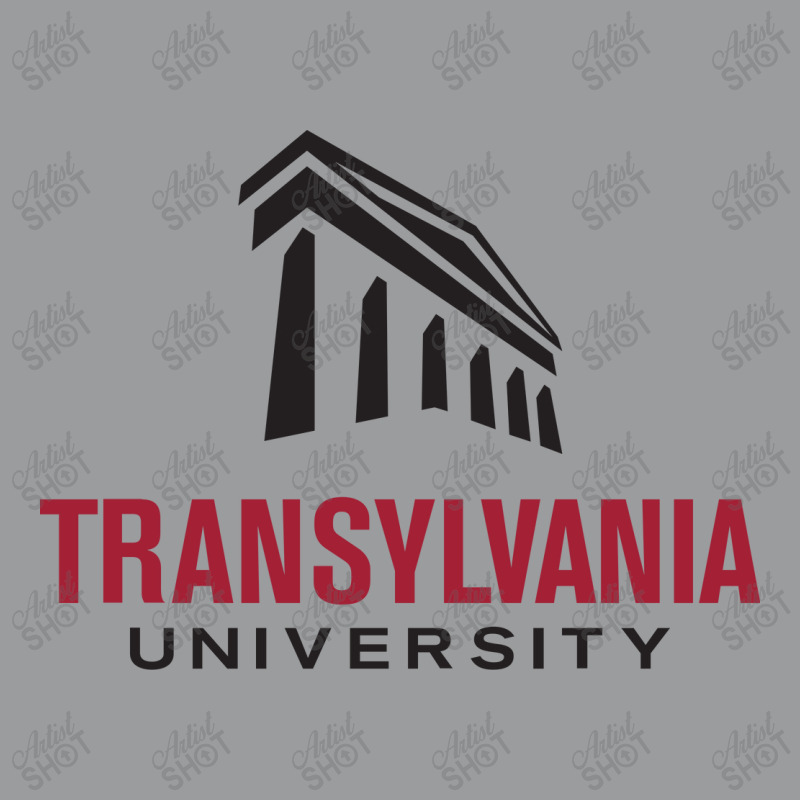 Transylvania University Classic T-shirt by hary shop | Artistshot