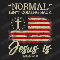 Normal Isn't Coming Back But Jesus Is Revelation 14 Vintage T-shirt | Artistshot