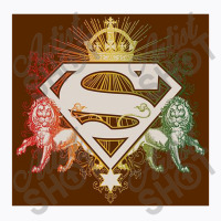 , Ornate Lion Shield T-shirt | Artistshot