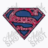 , Paisley Shield, T-shirt | Artistshot