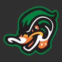 The Down East Wood Ducks Champion Hoodie | Artistshot