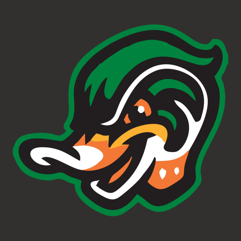 The Down East Wood Ducks Champion Hoodie | Artistshot