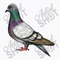 Pigeon T-shirt | Artistshot