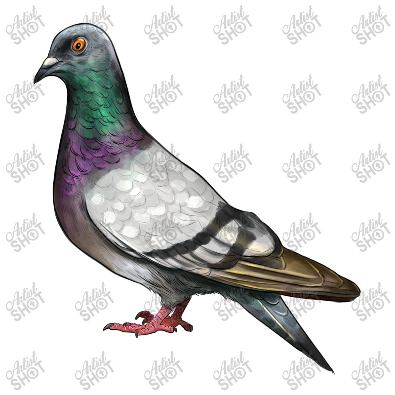 Pigeon V-neck Tee | Artistshot