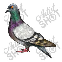 Pigeon 3/4 Sleeve Shirt | Artistshot