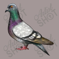 Pigeon Vintage Hoodie | Artistshot
