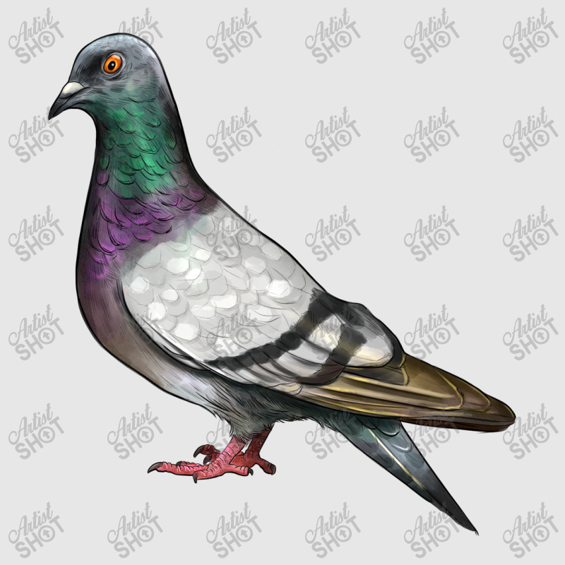 Pigeon Unisex Jogger | Artistshot