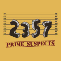 The Prime Number Suspects Vintage Hoodie And Short Set | Artistshot