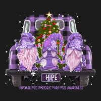 Hypokalemic Periodic Paralysis Awareness   Gnome Hope Christmas T Shir Hoodie & Jogger Set | Artistshot